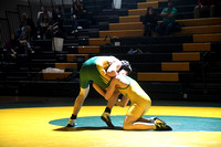 Wrestling - St. Francis-SedgCo-Fleming 0018