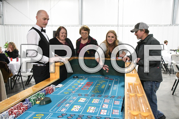 Casino Night craps pg 1 4424