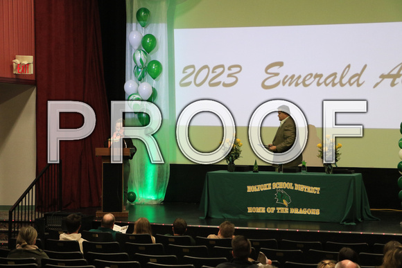 Emerald Award Event 2023 - 0014