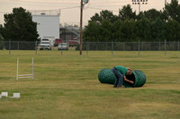 4-H Dog Show