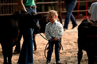 4-H Beef Show