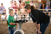 4-H Sheep and Goat Show