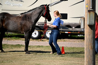 4-H Round Robin