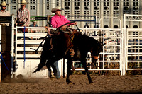 Bronco Riding