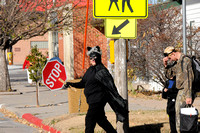 Cat crossing guard