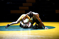 Wrestling - St. Francis-SedgCo-Fleming 0020