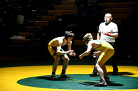 Wrestling - St. Francis-SedgCo-Fleming 0002