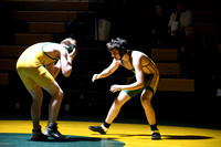 Wrestling - St. Francis-SedgCo-Fleming 0011