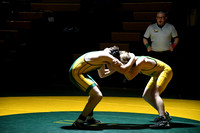 Wrestling - St. Francis-SedgCo-Fleming 0008