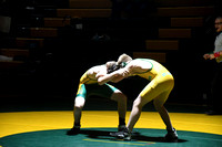 Wrestling - St. Francis-SedgCo-Fleming 0005