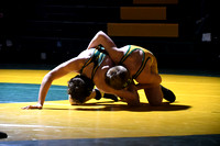 Wrestling - St. Francis-SedgCo-Fleming 0014