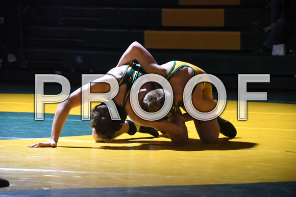 Wrestling - St. Francis-SedgCo-Fleming 0014