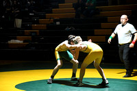 Wrestling - St. Francis-SedgCo-Fleming 0003